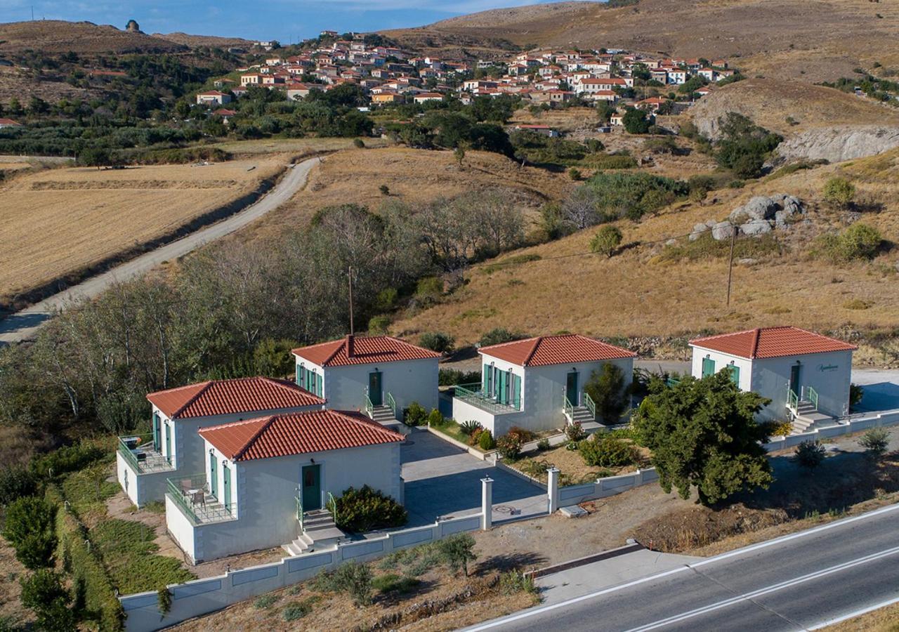 Ampeloessa Village Kornos 外观 照片