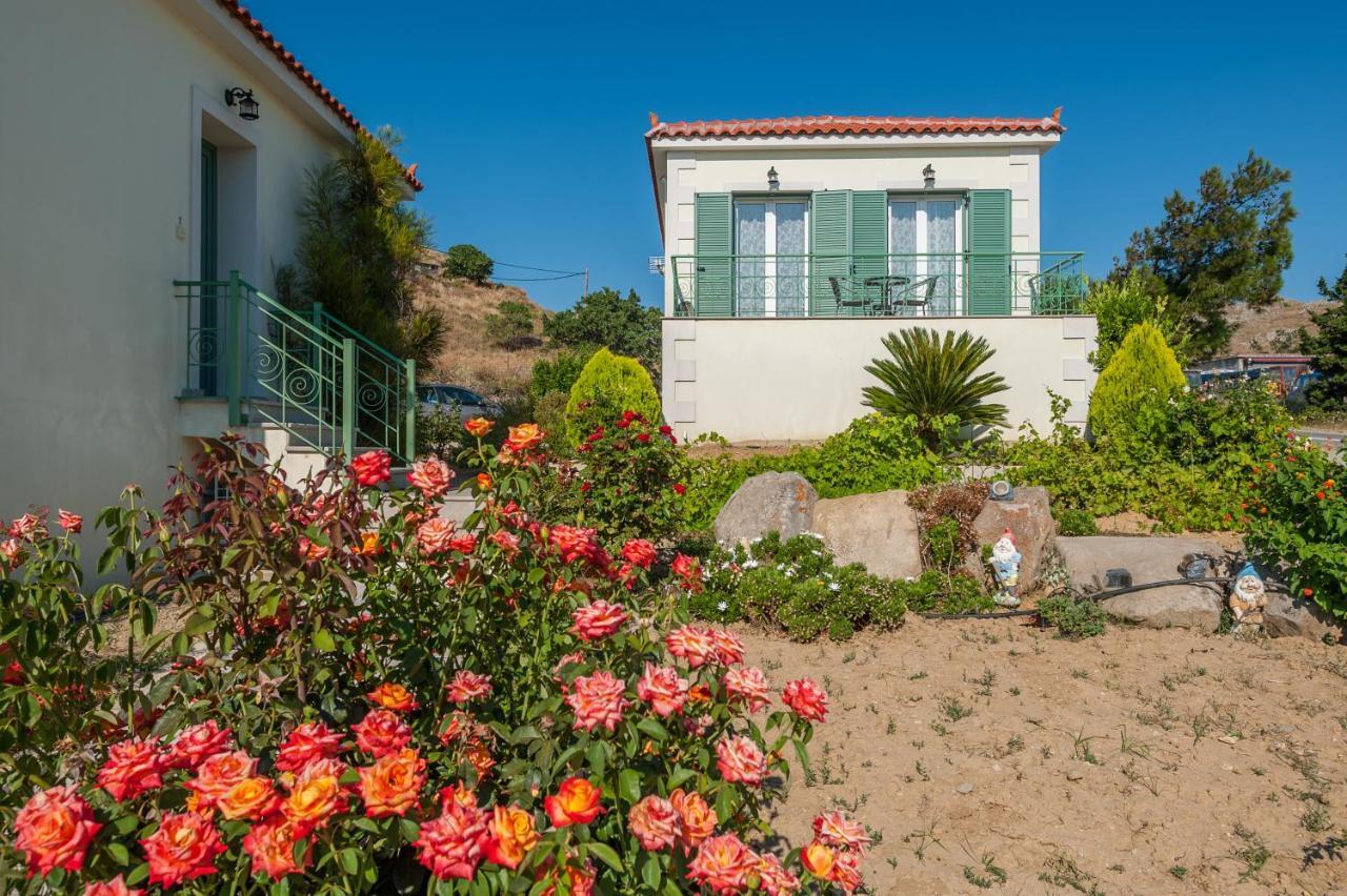 Ampeloessa Village Kornos 外观 照片