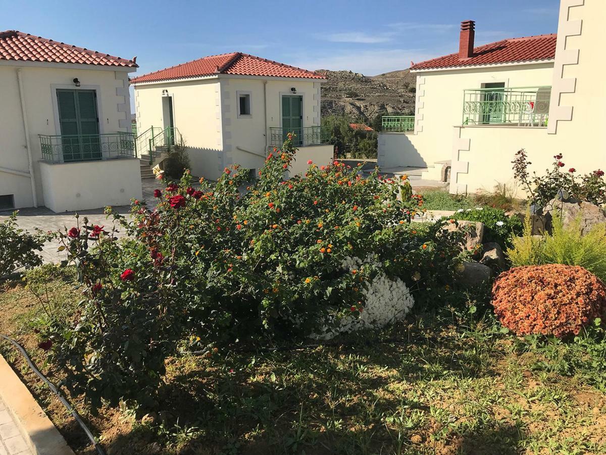 Ampeloessa Village Kornos 外观 照片