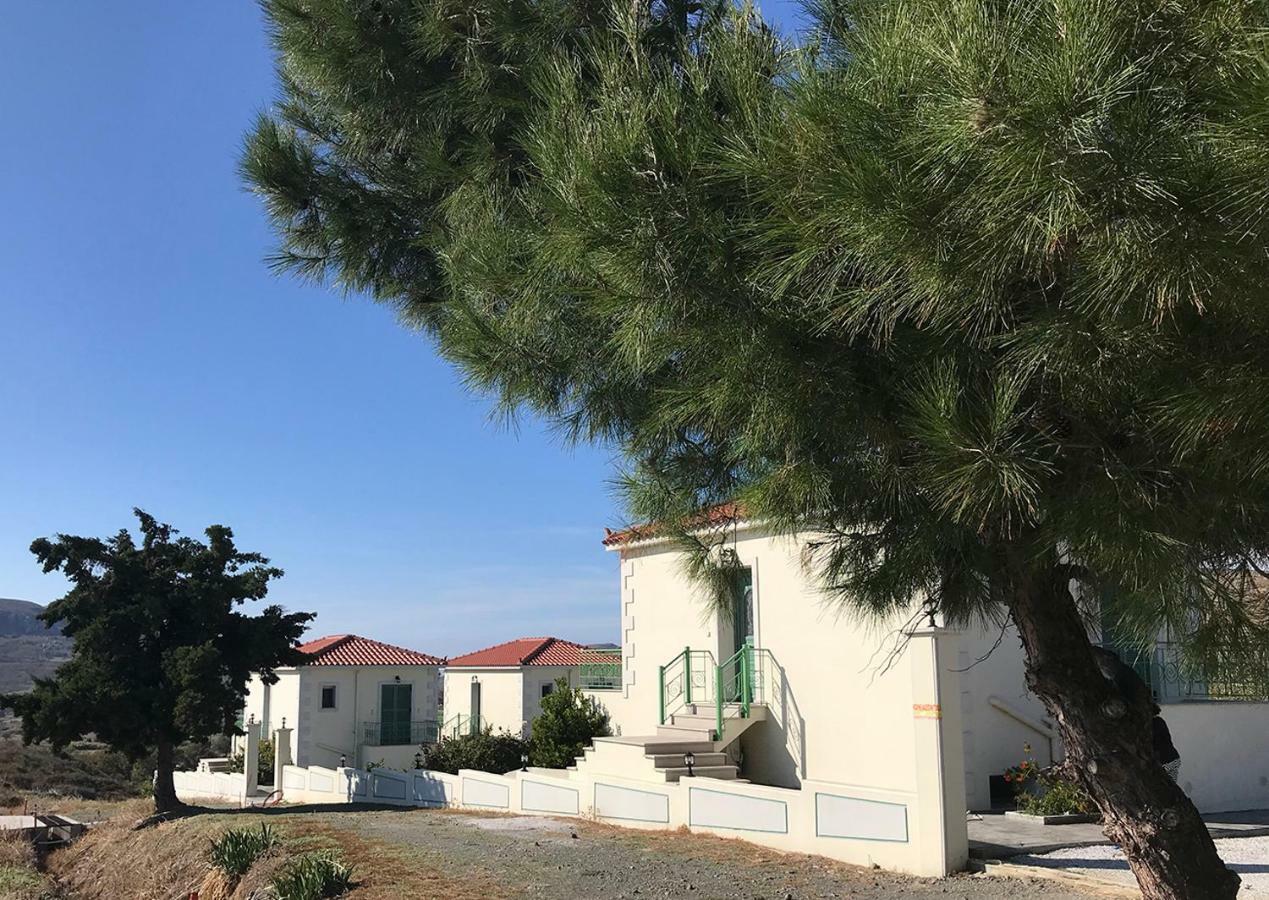 Ampeloessa Village Kornos 外观 照片