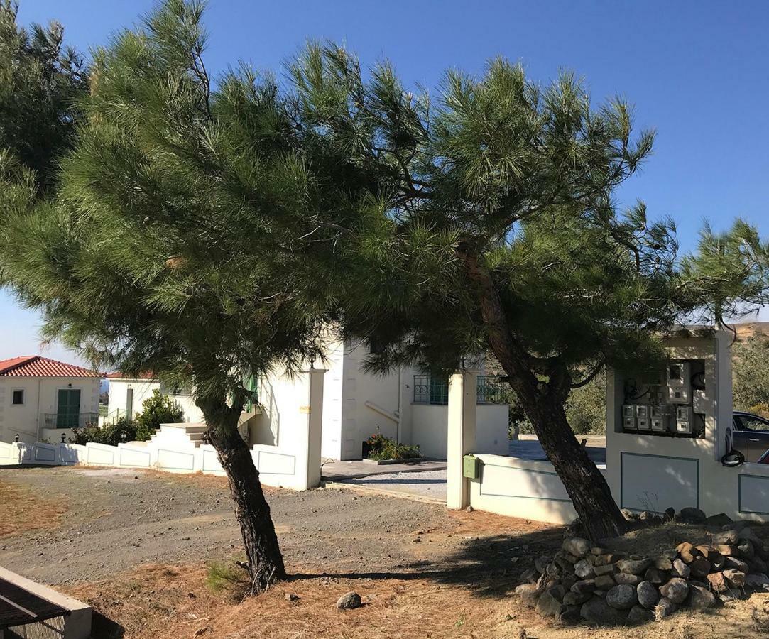 Ampeloessa Village Kornos 外观 照片